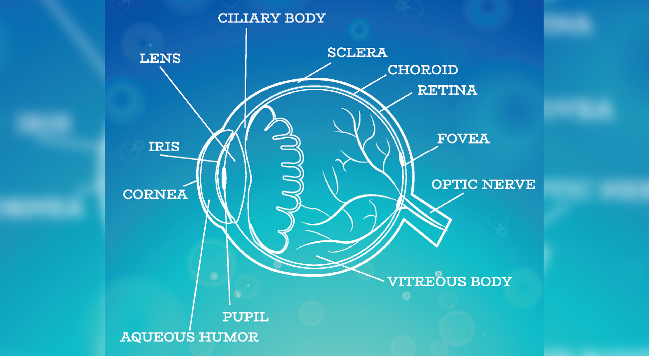 Cornea Transplant Surgery Evansville Indiana